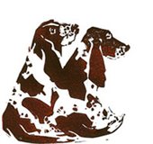 two of a kind - basset hounds